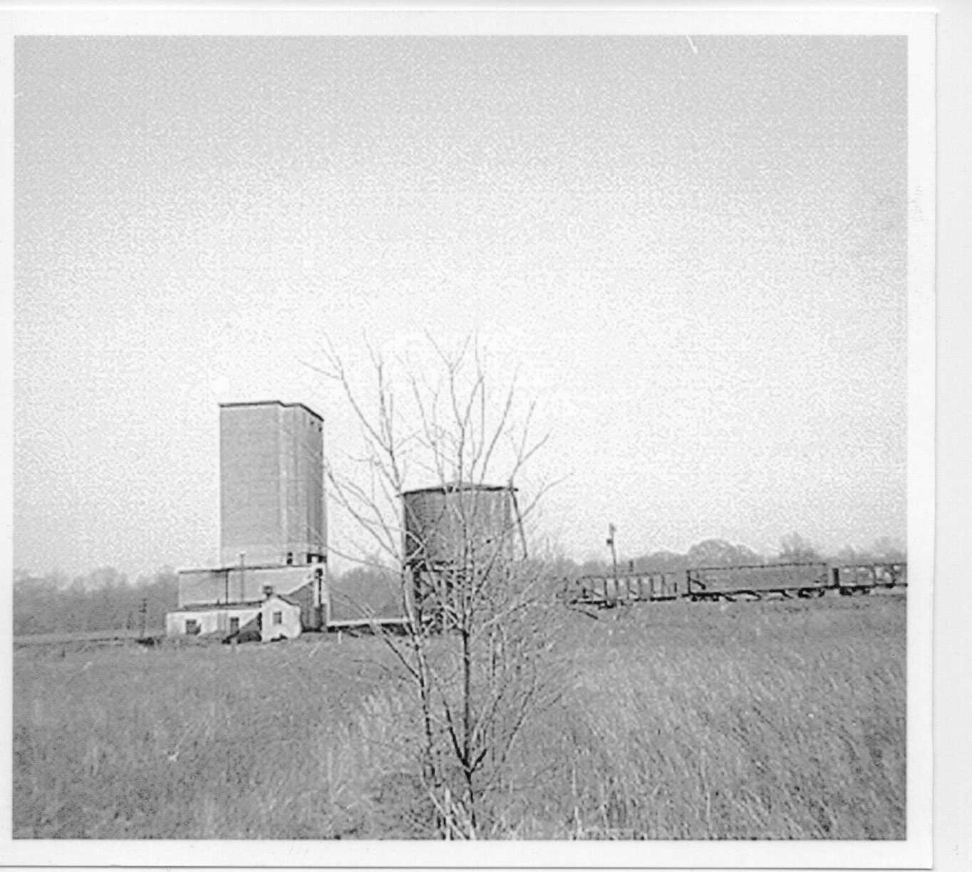 ICRR Coal Chute & Water Tower @ Reevesville, IL